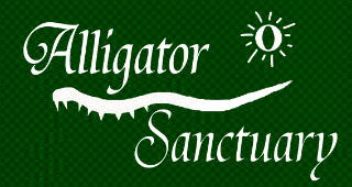 Alligator web.jpg