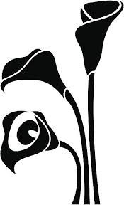 Calla lily.jpg