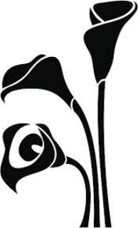 calla lily.jpg
