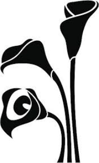calla lily.jpg