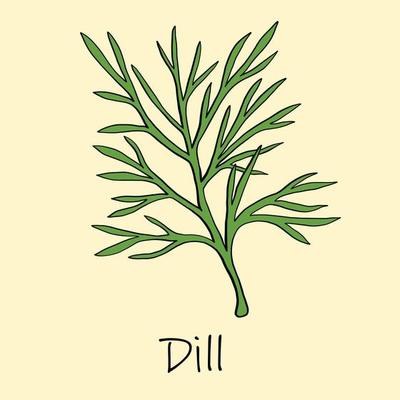 Dill.jpg