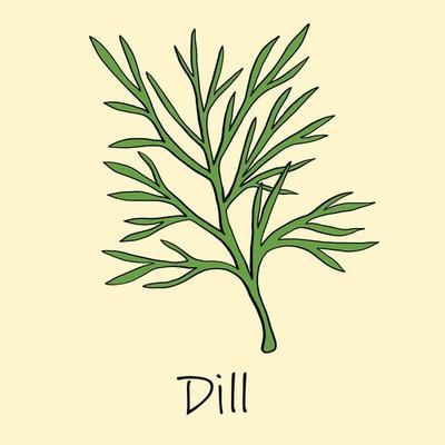 Dill.jpg