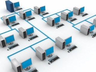 network.jpg